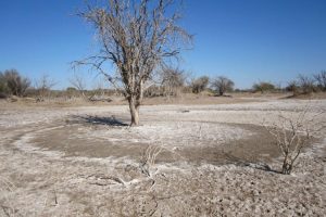 Problems of Dryland Agriculture