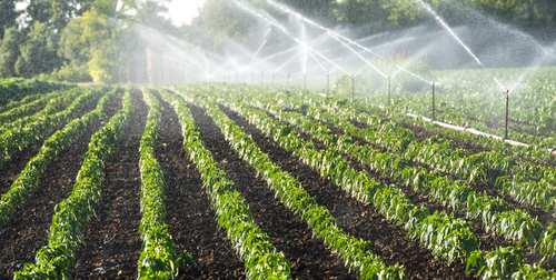 Water Conservation in Arid/dryland Agriculture
