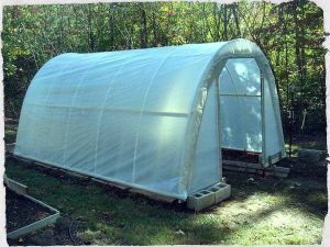 DIY Greenhouse | Arid Agriculture