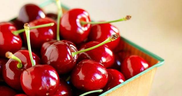 how to grow | Agriculture | growing cherries
