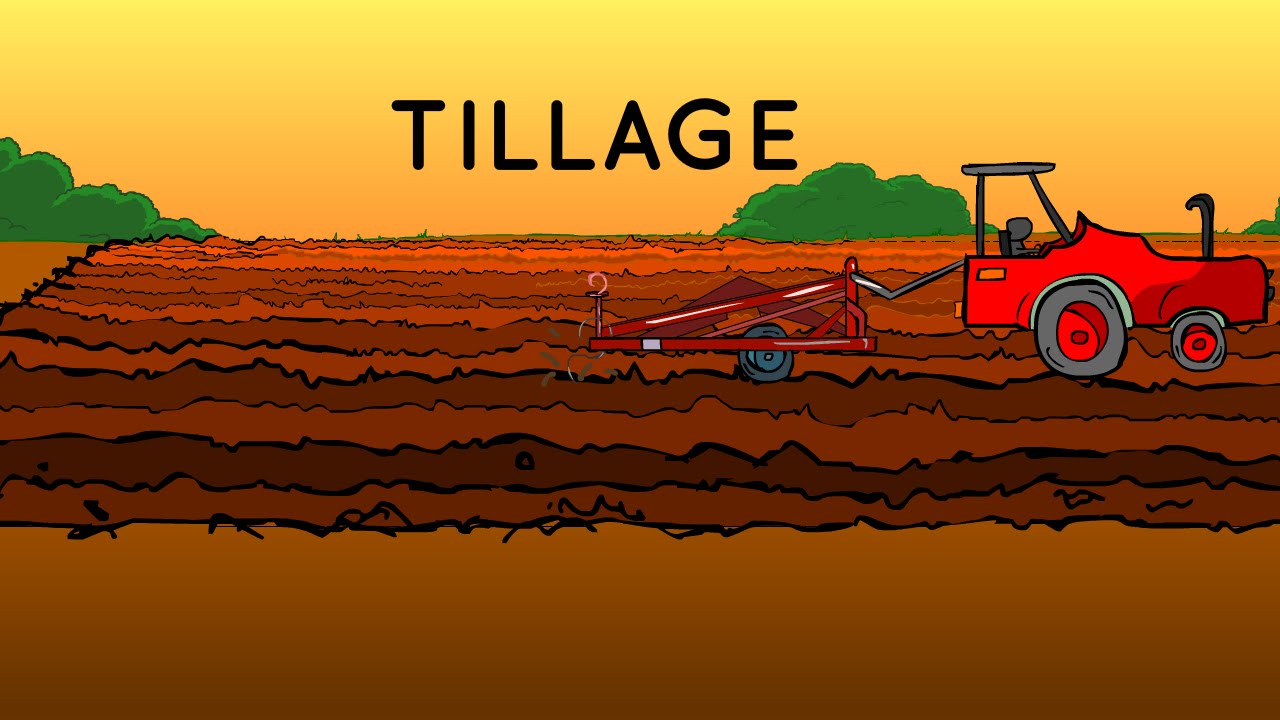 Objectives of Tillage | Arid Agriculture