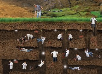 Branches of Soil Science | Arid Agriculture