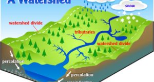 What is a Watershed? | Arid Agriculture