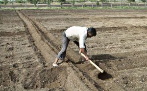Arid Agriculture and Moisture Deficiency | Arid Agriculture