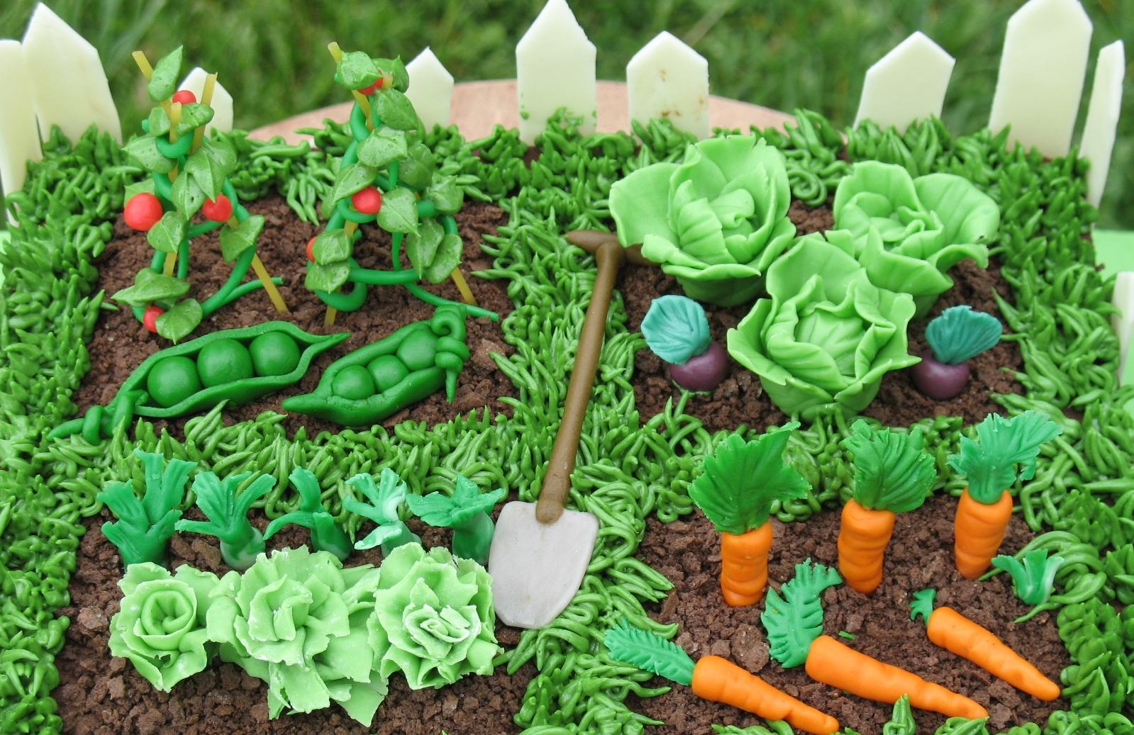 Vegetables to Grow in Your Kitchen Garden