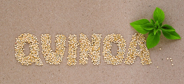 How to Grow Quinoa Seeds in your Kitchen Garden?