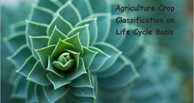 Agriculture Crop Classification on Life Cycle Basis | Arid Agriculture