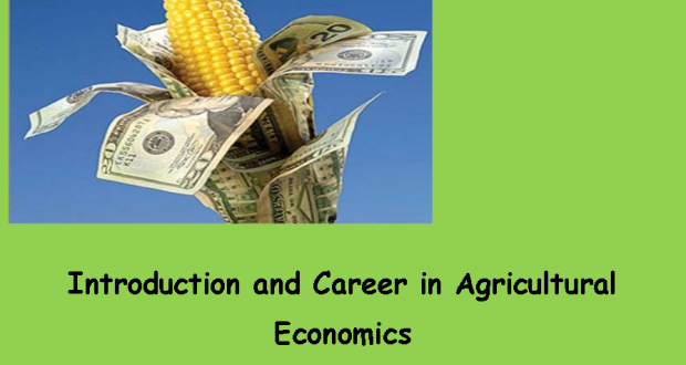 Career in Agricultural Economics | Arid Agriculture
