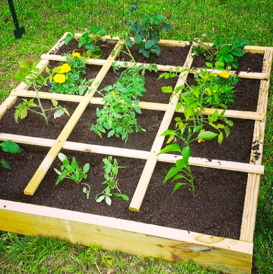 Square Foot Gardening | Arid Agriculture